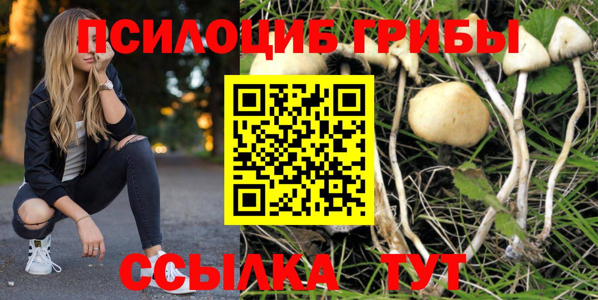 Йошкар-Ола  Псилоцибиновые грибы MAGIC MUSHROOMS  Вход с VPN 